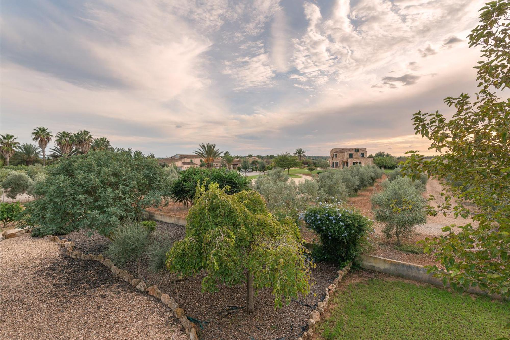 Finca Hotel Can Canals & Spa Campos  Exteriér fotografie